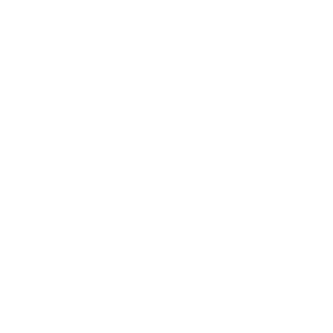 hosted servers logo hosted servers logo