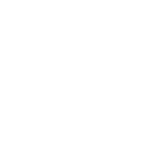 wireless network service wireless network service