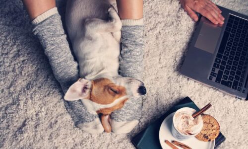 Staying Connected During Coronavirus