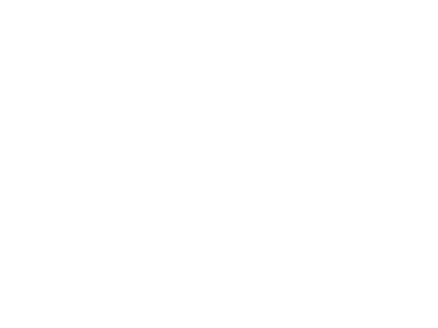 Anti Virus