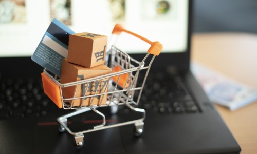 Cybersecurity for E-commerce: Protecting Your Online Store and Customers
