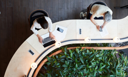 Wireless Network vs Wired Network: Which Is Right for Your Business?