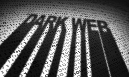 What the Dark Web Actually Means for Your Business